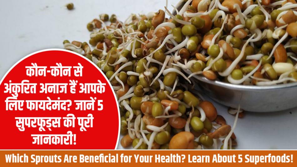 कौन-कौन से अंकुरित अनाज हैं आपके लिए फायदेमंद? जानें 5 सुपरफूड्स की पूरी जानकारी!