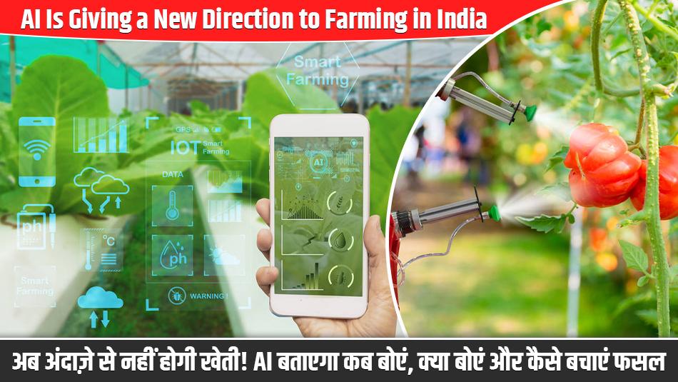 AI Is Giving a New Direction to Farming in India, Becoming a Trusted Partner for Farmers