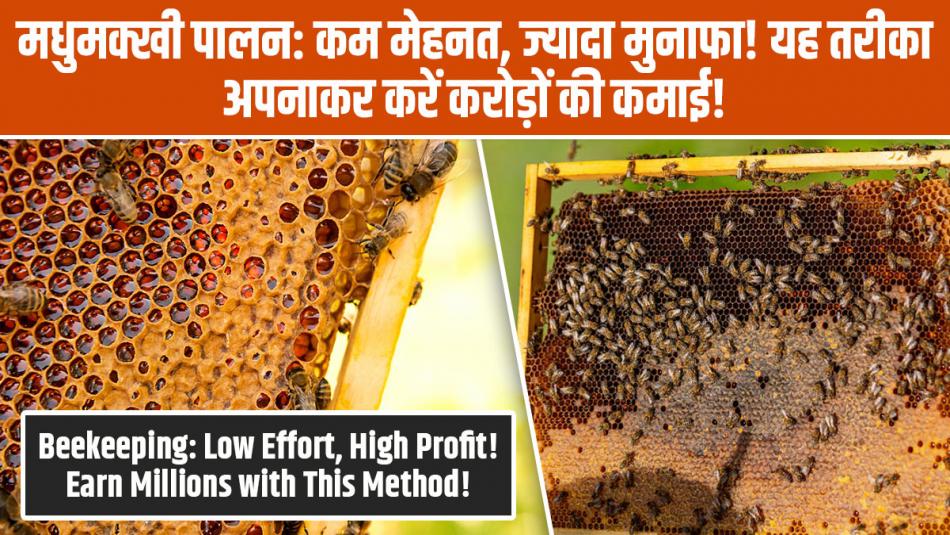 Honey Bee Farming: मधुमक्खी पालन, कम मेहनत, ज्यादा मुनाफा, यह तरीका अपनाकर करें करोड़ों की कमाई