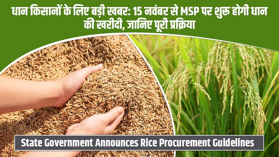 धान किसानों के लिए बड़ी खबर: 15 नवंबर से MSP पर शुरू होगी धान की खरीदी, जानिए पूरी प्रक्रिया