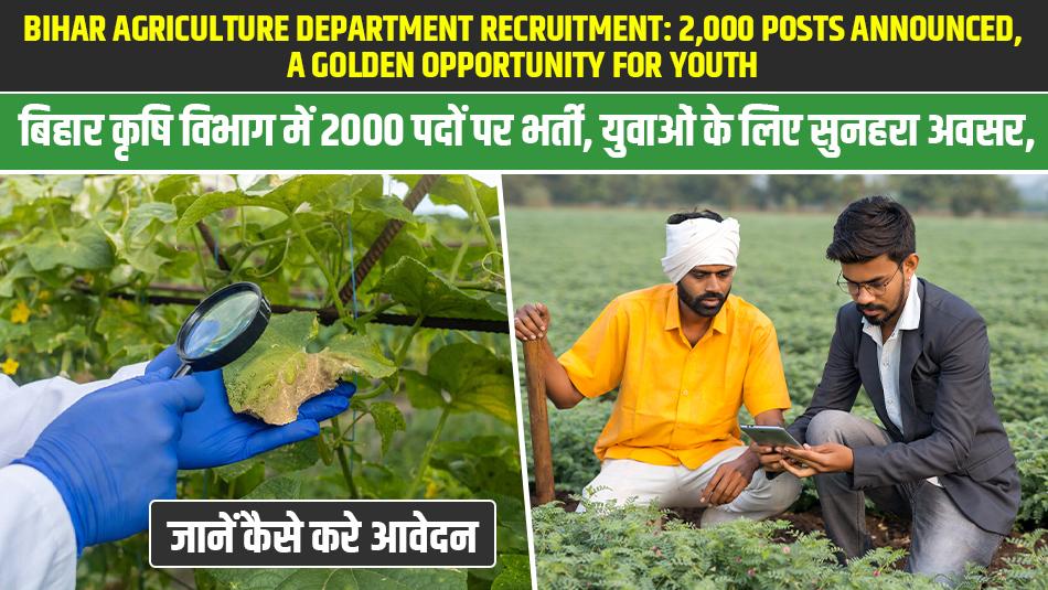 बिहार कृषि विभाग में 2000 पदों पर भर्ती, युवाओं के लिए सुनहरा अवसर, जानें कैसे करे आवेदन