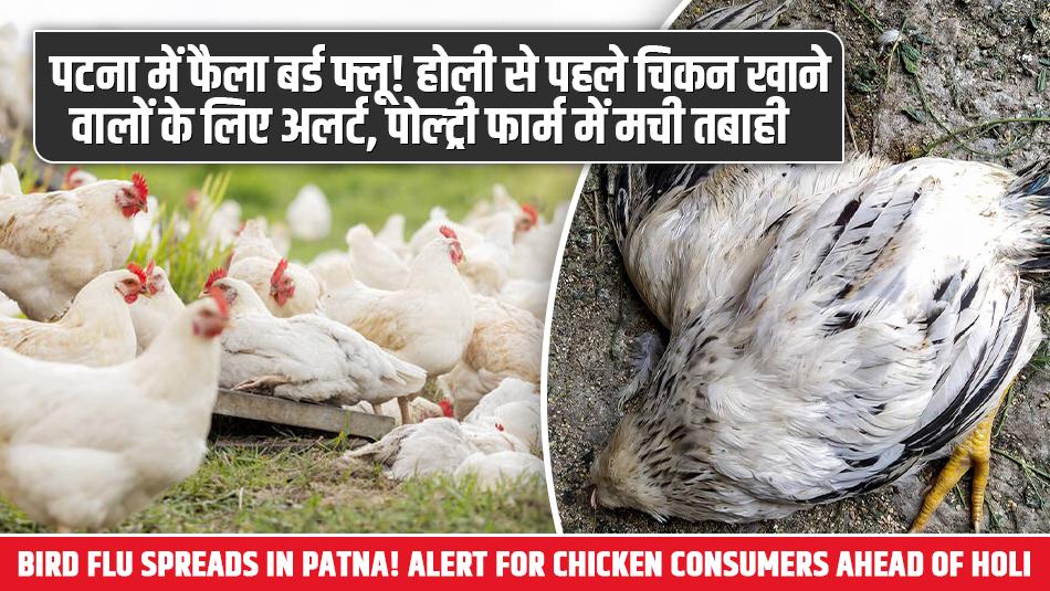 Aahaar Setu App: खुशखबरी! मुर्गियों की असली पहचान बताएगा ये नया APP, एक स्कैन में खुल जाएगी पूरी कुंडली