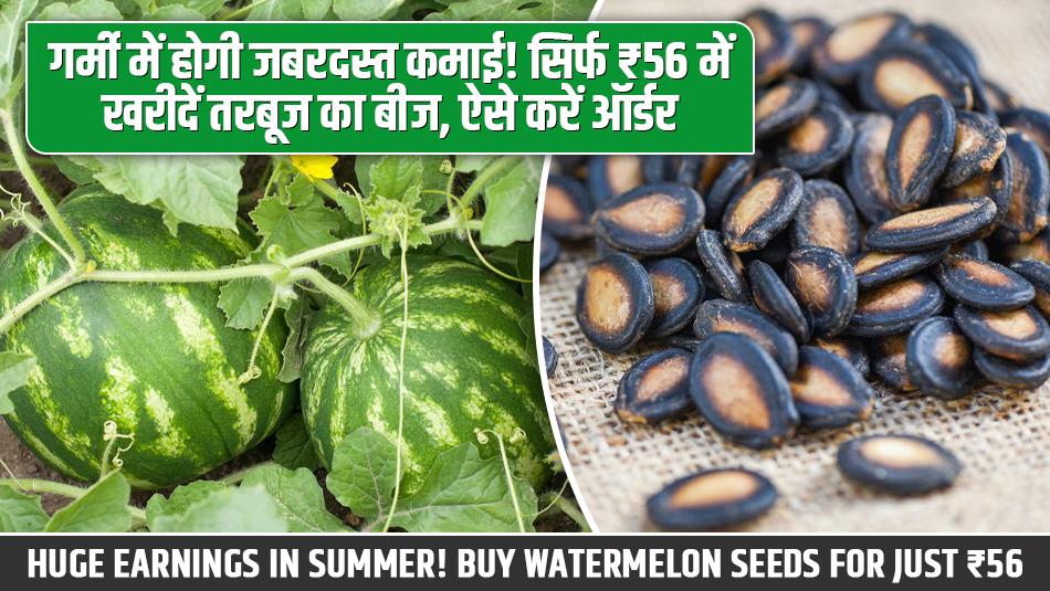 Watermelon farming: गर्मी में होगी जबरदस्त कमाई! सिर्फ ₹56 में खरीदें तरबूज का बीज, ऐसे करें ऑर्डर