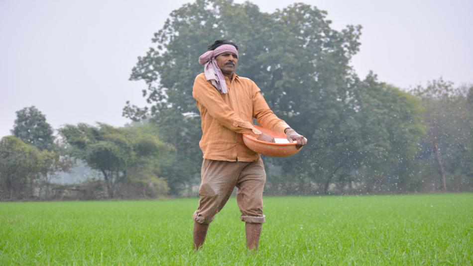 Uttar Pradesh weather today: यूपी समेत कई राज्यों में ठंड बढ़ने की संभावना, IMD ने शीतलहर का अलर्ट जारी किया