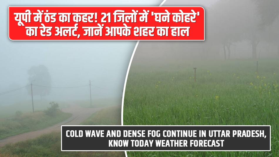 Cold Wave and Dense Fog Continue in Uttar Pradesh, Know Today Weather Forecast