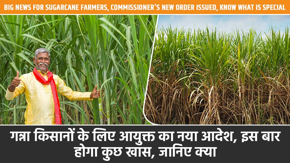 Big news for sugarcane farmers, Commissioner's new order issued, know what is special Big news for sugarcane farmers, Commissioner's new order issued, know what is special