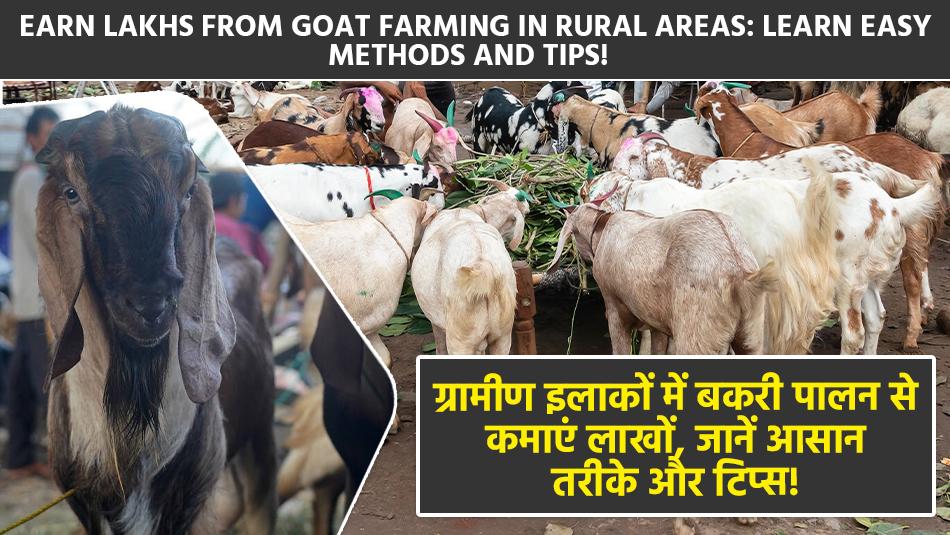 Goat farming: ग्रामीण इलाकों में बकरी पालन से कमाएं लाखों, जानें आसान तरीके और टिप्स