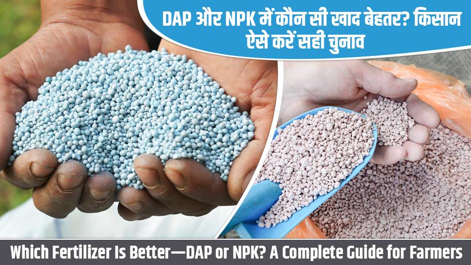 Which Fertilizer Is Better—DAP or NPK? A Complete Guide for Farmers