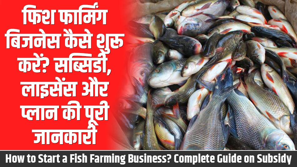 How to Start a Fish Farming Business? Complete Guide on Subsidy, License & Business Plan