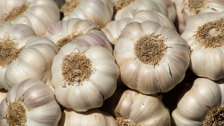 Garlic Prices Soar, Onion Becomes Cheaper! Check Your City's Latest Market Rates