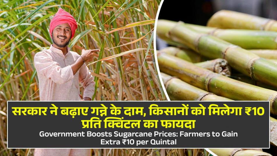 Government boosts Sugarcane Prices, farmers to gain extra ₹10 per quintal Government boosts Sugarcane Prices, farmers to gain extra ₹10 per quintal