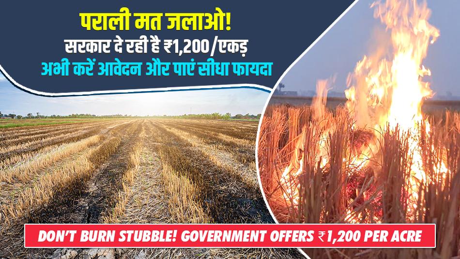 पराली मत जलाओ! सरकार दे रही है ₹1,200/एकड़ — अभी करें आवेदन और पाएं सीधा फायदा