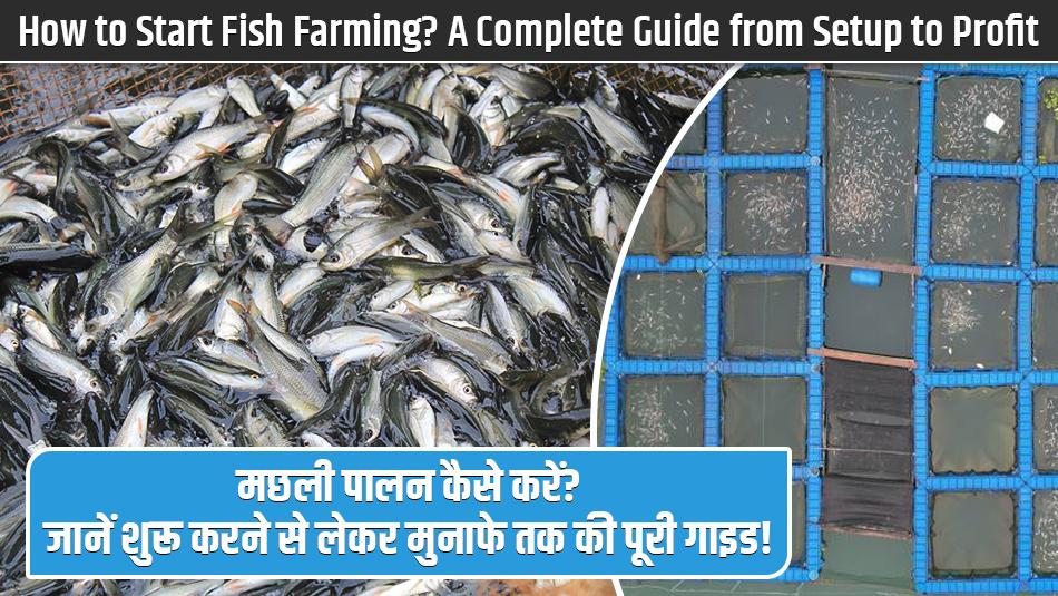 Fish farming: मछली पालन कैसे करें? जानें शुरू करने से लेकर मुनाफे तक की पूरी जानकारी