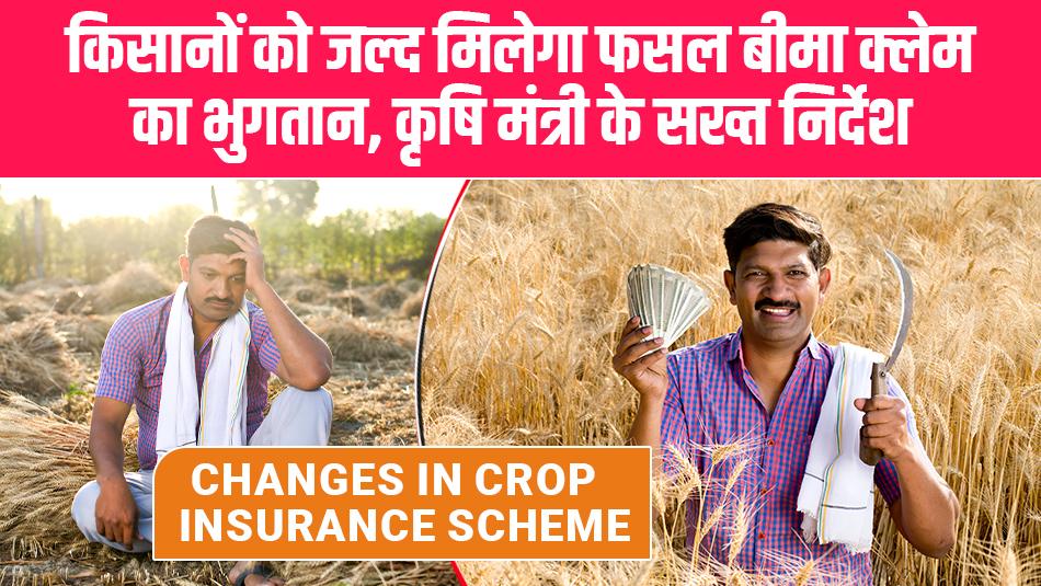 किसानों को जल्द मिलेगा फसल बीमा क्लेम का भुगतान, कृषि मंत्री के सख्त निर्देश