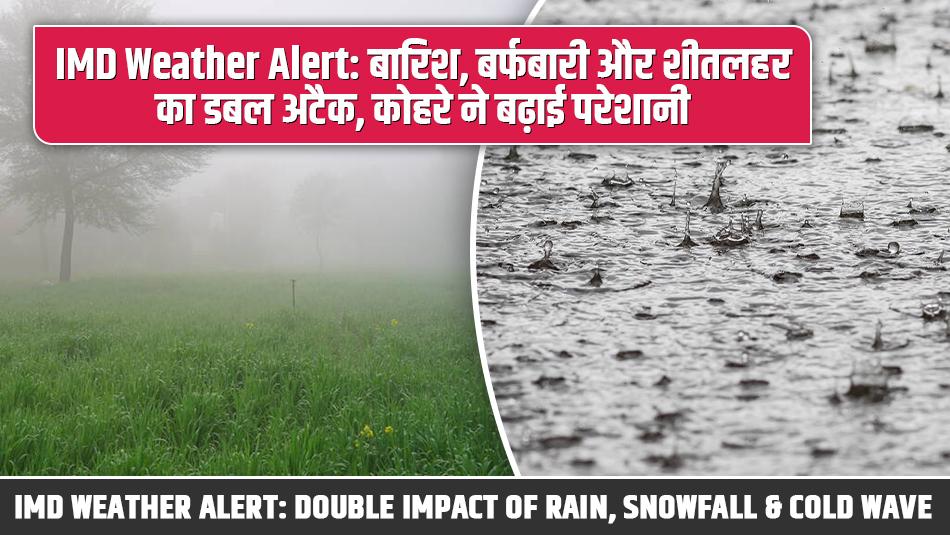 IMD Weather Alert: Double Impact of Rain, Snowfall & Cold Wave; Dense Fog Raises Concerns