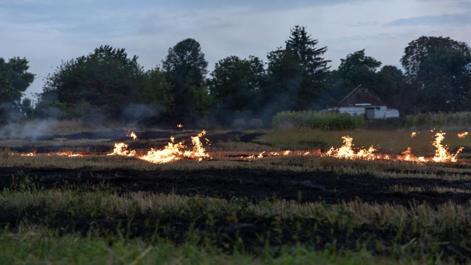 Think Before You Burn Crop Residue – Heavy Fines and Legal Action Ahead! Think Before You Burn Crop Residue – Heavy Fines and Legal Action Ahead!