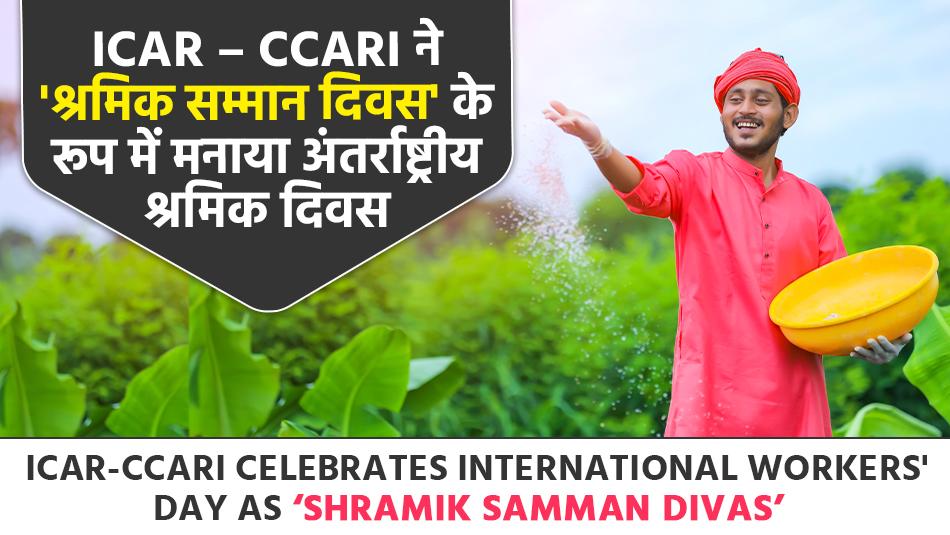 ICAR-CCARI Celebrates International Workers' Day as ‘Shramik Samman Divas’ ICAR-CCARI Celebrates International Workers' Day as ‘Shramik Samman Divas’