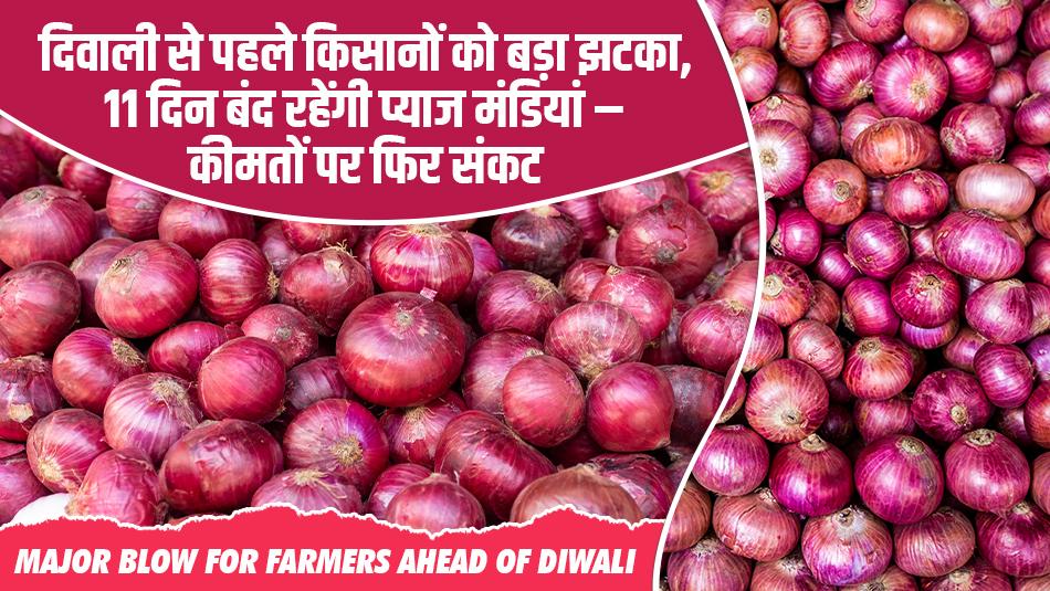 मंडी खबर