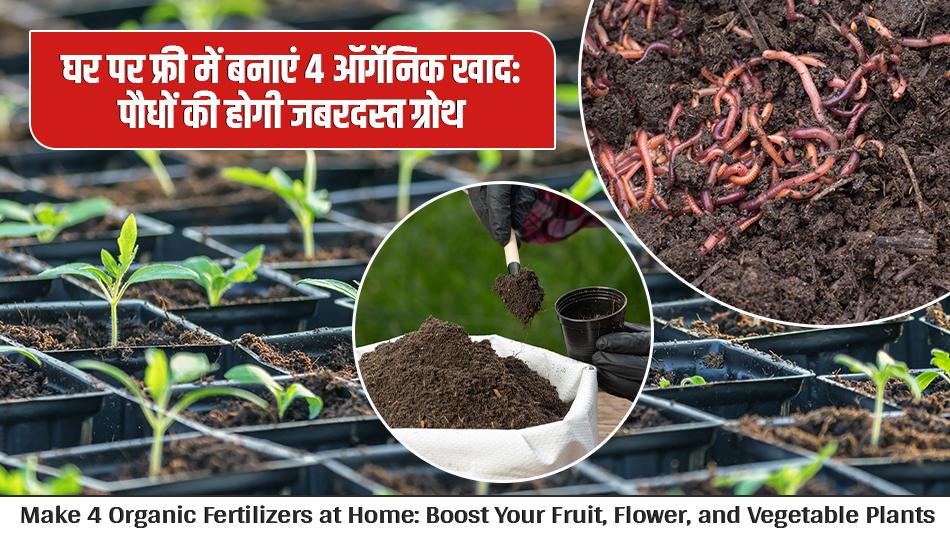 Home gardening: घर पर फ्री में बनाएं ये 4 ऑर्गेनिक खाद और देखें कैसे आपके पौधे फल-फूल जाते हैं