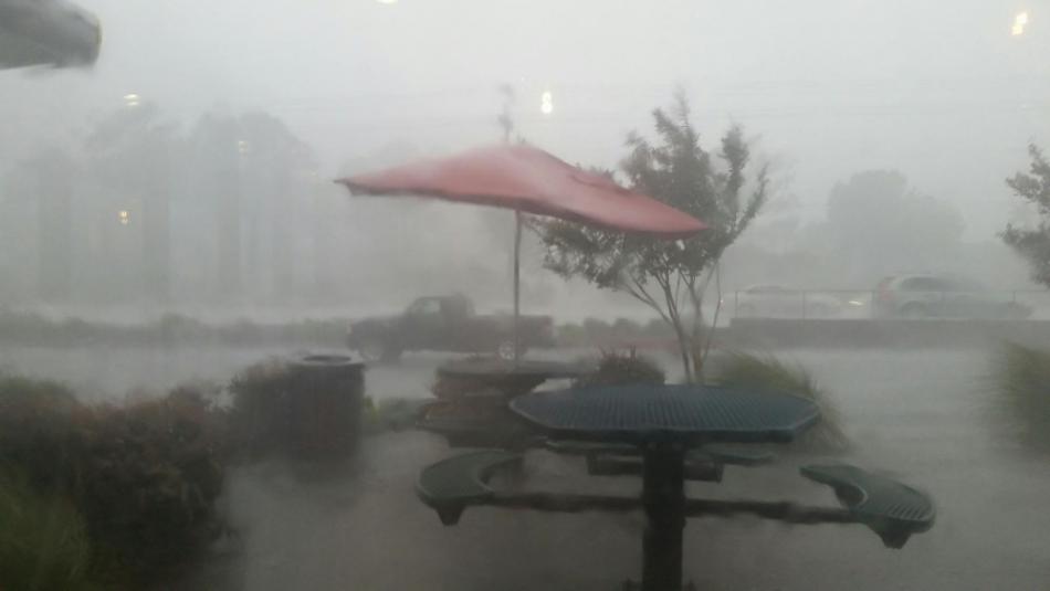 Weather today: Rain and Hailstorm Havoc: Several states including MP and Bengal affected Weather today: Rain and Hailstorm Havoc: Several states including MP and Bengal affected