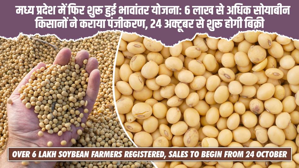 Madhya Pradesh Re-launches Bhavantar Yojana: Over 6 Lakh Soybean Farmers Registered, Sales to Begin from 24 October