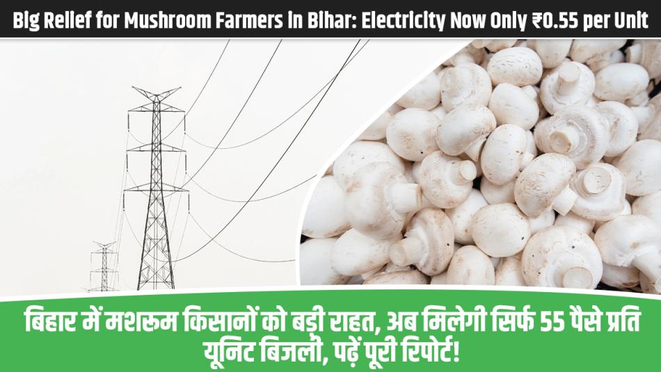 Big Relief for Mushroom Farmers in Bihar: Electricity Now Only ₹0.55 per Unit