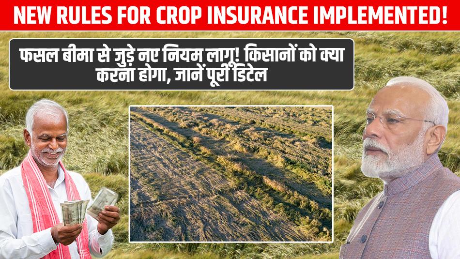 New Rules for Crop Insurance Implemented! What Farmers Need to Do – Full Details New Rules for Crop Insurance Implemented! What Farmers Need to Do – Full Details