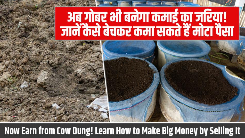 अब गोबर भी बनेगा कमाई का जरिया! जानें कैसे बेचकर कमा सकते हैं मोटा पैसा