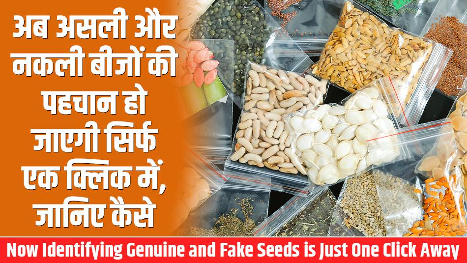 Now Identifying Genuine and Fake Seeds is Just One Click Away – Find Out How! Now Identifying Genuine and Fake Seeds is Just One Click Away – Find Out How!