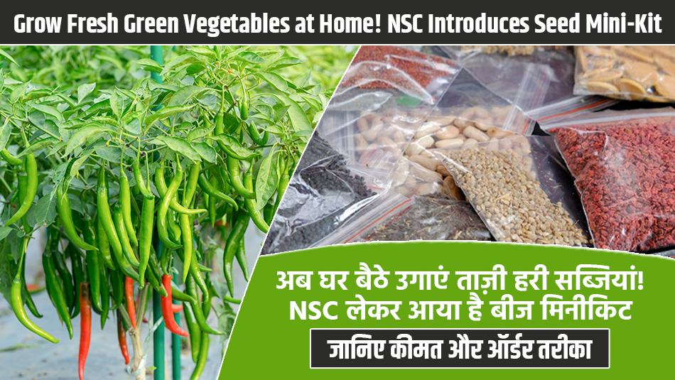 अब घर बैठे उगाएं ताज़ी हरी सब्जियां! NSC लेकर आया है बीज मिनीकिट — जानिए कीमत और ऑर्डर तरीका