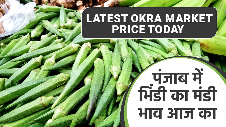 Ladyfinger mandi bhav today: पंजाब में भिंडी का मंडी भाव आज का