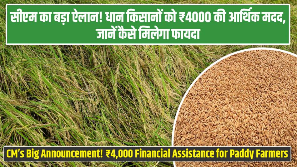 CM’s Big Announcement! ₹4,000 Financial Assistance for Paddy Farmers – Know How to Avail the Benefit CM’s Big Announcement! ₹4,000 Financial Assistance for Paddy Farmers – Know How to Avail the Benefit