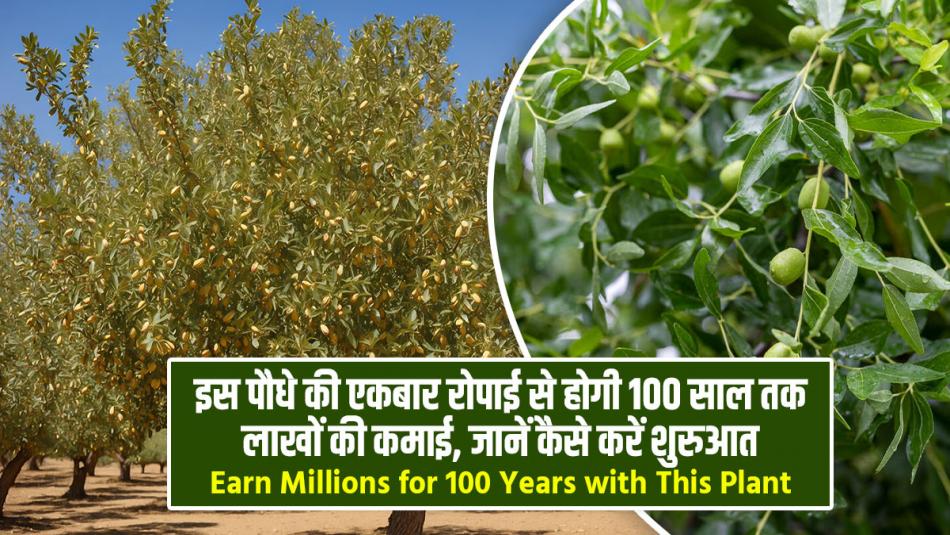 Earn Millions for 100 Years with This Plant: Learn How to Start Earn Millions for 100 Years with This Plant: Learn How to Start