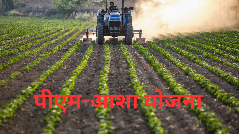 Big Decision by Central Government! PM-AASHA Scheme Extended Till 2025-26 – Know the Benefits for Farmers Big Decision by Central Government! PM-AASHA Scheme Extended Till 2025-26 – Know the Benefits for Farmers