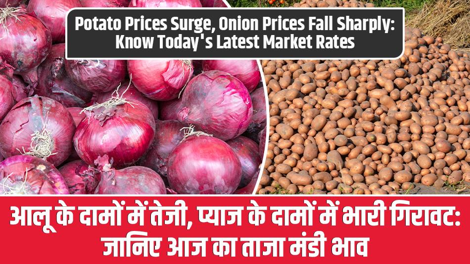 आलू के दामों में तेजी, प्याज के दामों में भारी गिरावट: जानिए आज का ताजा मंडी भाव