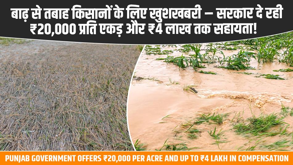 बाढ़ से तबाह किसानों के लिए खुशखबरी – सरकार दे रही ₹20,000 प्रति एकड़ और ₹4 लाख तक सहायता!