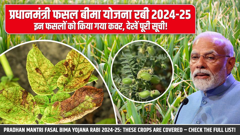 Pradhan Mantri Fasal Bima Yojana Rabi 2024-25: These Crops Are Covered – Check the Full List! Pradhan Mantri Fasal Bima Yojana Rabi 2024-25: These Crops Are Covered – Check the Full List!