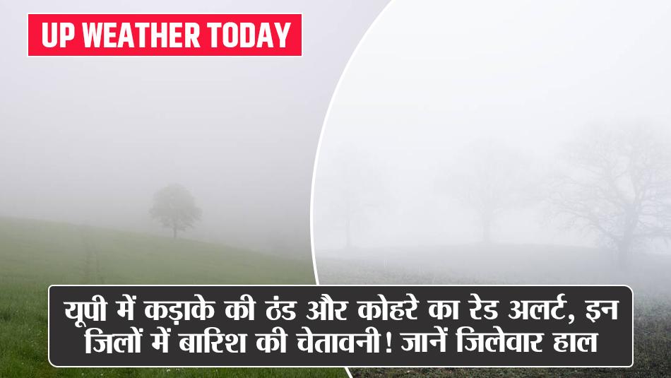 UP Weather Today: यूपी में कड़ाके की ठंड और कोहरे का रेड अलर्ट, इन जिलों में बारिश की चेतावनी! जानें जिलेवार हाल