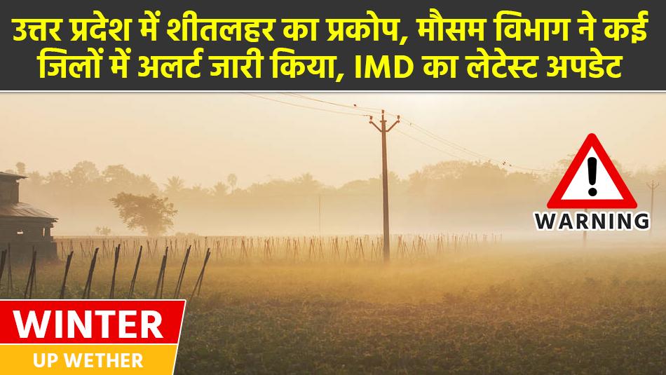 UP wether: Cold wave continues in Uttar Pradesh, with a drop in temperature. IMD has issued an alert UP wether: Cold wave continues in Uttar Pradesh, with a drop in temperature. IMD has issued an alert
