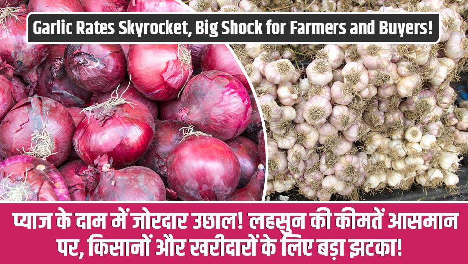 Onion mandi rate today: प्याज के दाम में जोरदार उछाल! लहसुन की कीमतें आसमान पर, किसानों और खरीदारों के लिए बड़ा झटका!