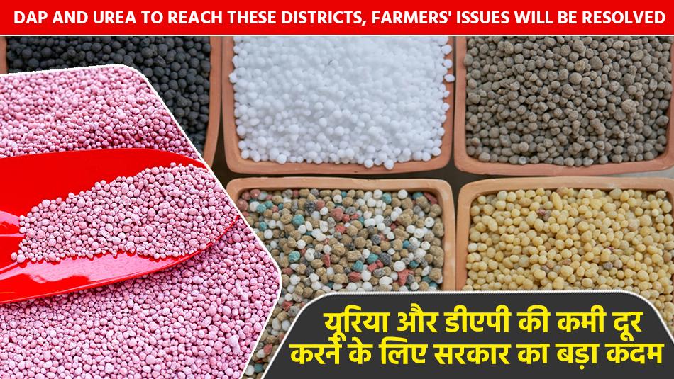 DAP and Urea to Reach These Districts, Farmers' Issues Will Be Resolved DAP and Urea to Reach These Districts, Farmers' Issues Will Be Resolved