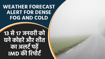 Weather today: 13 से 17 जनवरी को घने कोहरे और शीत का अलर्ट, पढ़ें IMD की रिपोर्ट