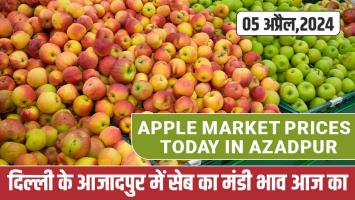 Apple mandi bhav today: दिल्ली के आजादपुर में सेब का मंडी भाव आज का ( 05 अप्रैल,2024)