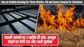 पराली जलाने पर 3 महीने की रोक, कानून तोड़ने पर होगी FIR और भारी जुर्माना