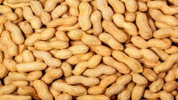 Peanuts benefits: मूंगफली खाने के फायदे और नुकसान, जानिए इसे खाने के सही तरीका