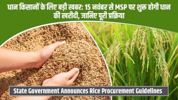 धान किसानों के लिए बड़ी खबर: 15 नवंबर से MSP पर शुरू होगी धान की खरीदी, जानिए पूरी प्रक्रिया