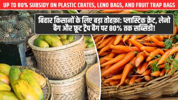 Big Relief for Bihar Farmers: Up to 80% Subsidy on Plastic Crates, Leno Bags, and Fruit Trap Bags