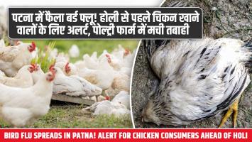 Aahaar Setu App: खुशखबरी! मुर्गियों की असली पहचान बताएगा ये नया APP, एक स्कैन में खुल जाएगी पूरी कुंडली