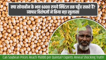 क्या सोयाबीन के भाव 6000 रुपये क्विंटल तक पहुँच सकते हैं? व्यापार विशेषज्ञों ने किया बड़ा खुलासा