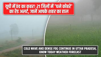 Cold Wave and Dense Fog Continue in Uttar Pradesh, Know Today Weather Forecast
